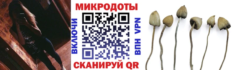Галлюциногенные грибы Psilocybe  купить   Мончегорск 